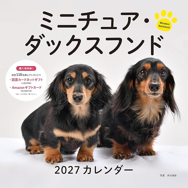 2027年カレンダー かわいいミニチュア・ダックスフンド (誠文堂新光社